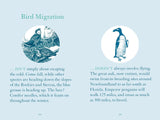 Bird Brainteasers: Puzzles, Games & Avian Trivia by Patrick Merrell