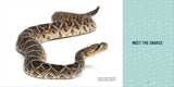 Snakes for Kids: A Junior Scientist's Guide to Venom, Scales, and Life in the Wild (Junior Scientists) : A Junior Scientist's Guide to Venom, Scales, and Life in the Wild (Junior Scientists) by Michael G. Starkey