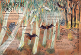 Our Forests (Our Wonders #2) by Yuval Zommer