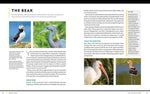 National Geographic Birding Basics: Tips, Tools, and Techniques for Great Bird-Watching by Noah Strycker