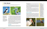 National Geographic Birding Basics: Tips, Tools, and Techniques for Great Bird-Watching by Noah Strycker