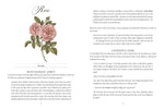 Jane Austen's Garden: A Botanical Tour of the Classic Novels by Molly Williams, Jessica Roux