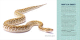 Snakes for Kids: A Junior Scientist's Guide to Venom, Scales, and Life in the Wild (Junior Scientists) : A Junior Scientist's Guide to Venom, Scales, and Life in the Wild (Junior Scientists) by Michael G. Starkey