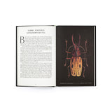 The Wonder of Insects: Uncovering Their Hidden World by Dr. Ross Piper