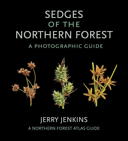 Sedges of the Northern Forest by Jerry Jenkins