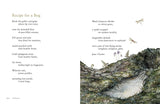 Windfall: Irish Nature Poems to Inspire and Connect by Jane Clarke