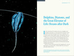Nature at Night: Discover the Hidden World That Comes Alive After Dark by Charles Hood