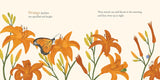 Consider the Lilies by Jennifer Grant