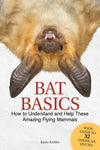 Bat Basics: How to Understand and Help These Amazing Flying Mammals