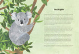 Tree Lore: The Myths, Folklore and Meaning of Trees by Sally Coulthard