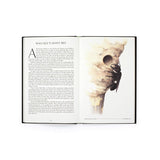The Wonder of Insects: Uncovering Their Hidden World by Dr. Ross Piper