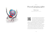 A Year of Garden Bees & Bugs: 52 Stories of Intriguing Insects by Dominic Couzens & Gail Ashton