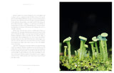 Entangled Life: The Illustrated Edition: How Fungi Make Our Worlds by Merlin Sheldrake