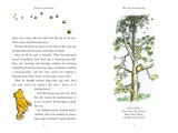 Winnie-The-Pooh (Winnie-The-Pooh Classic Editions) by A.A.Milne, E.H.Shepard