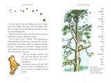 Winnie-The-Pooh (Winnie-The-Pooh - Classics 100th Anniversary) by A. A. Milne