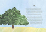 Tree Lore: The Myths, Folklore and Meaning of Trees by Sally Coulthard