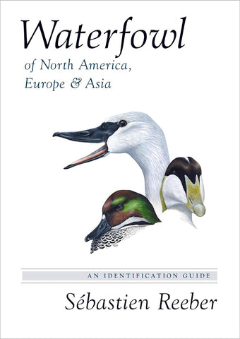 Waterfowl of North America, Europe & Asia: An Identification Guide by Sebastien Reeber
