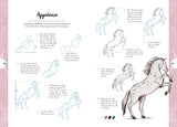 Horses & Ponies: Draw Over 50 Horses and Ponies in 10 Easy Steps (10 Step Drawing) by Justine Lecouffe