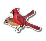 Cardinal Pair Nature Sticker