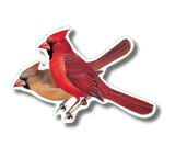 Cardinal Pair Nature Sticker