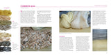 Natural Dyeing with Plants: Glorious Colors from Roots, Leaves & Flowers by Franziska Ebner & Romana Hasenöhrl