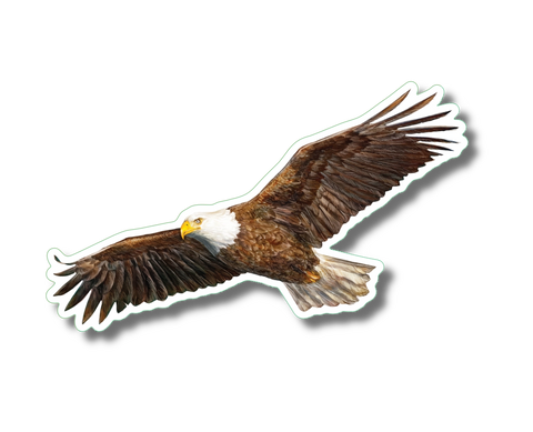 Bald Eagle in Flight Nature Sticker