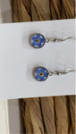 Pressed Flower Tiny Circle Earring - Forget Me Not on White, Silver