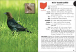 Birds of Ohio Field Guide by Stan Tekiela