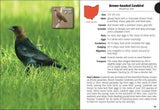 Birds of Ohio Field Guide by Stan Tekiela