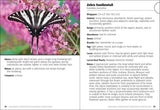 Butterflies of the Midwest Field Guide (Butterfly Identification Guides)