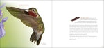 Feathers: A Beautiful Look at a Bird's Most Unique Feature