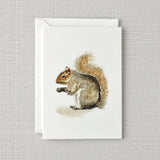 Squirrel Mini Notecard by Emily Lex