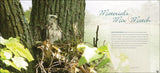 Bird Nests: Amazingly Ingenious and Intricate (Nature Appreciation) by Stan Tekeila