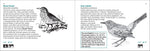 Bird Finder: Identifying Common Birds of Eastern North America (Nature Study Guides)