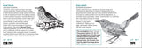 Bird Finder: Identifying Common Birds of Eastern North America (Nature Study Guides)