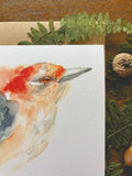 Red-Bellied Woodpecker Watercolor A7 Greeting Card