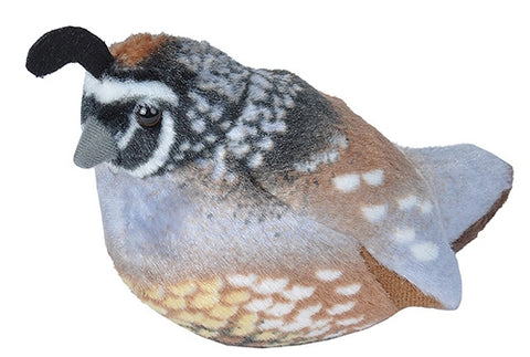 Audubon II California Quail Stuffed Animal W Sound 5.5"