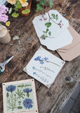 Flower Press - Cornflower