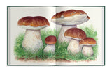 Field Notes from a Fungi Forager: An Illustrated Journey Through the World of Pacific Northwest Mushrooms