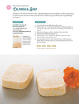 Soap Making for Beginners: 100% Pure Soaps to Make at Home (45 All-Natural Soap Recipes)