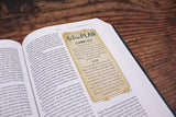 NIV, Kingdom Girls Bible, Full Color, Hardcover, Teal, Comfort Print: Meet the Women in God's Story