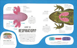 The Animal Body Book: An Insider's Guide to the World of Animal Anatomy (DK)