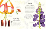 An Anthology of Flowers: A Collection of Flowers from Gardens, Mountains and More, with Fascinating Secrets by Dorling Kinderlsey Publishing