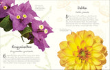 An Anthology of Flowers: A Collection of Flowers from Gardens, Mountains and More, with Fascinating Secrets by Dorling Kinderlsey Publishing
