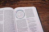 NIV, Kingdom Girls Bible, Full Color, Hardcover, Teal, Comfort Print: Meet the Women in God's Story