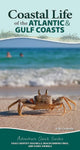 Coastal Life of the Atlantic & Gulf Coasts: Easily Identify Seashells, Beachcombing Finds, and Iconic Animals