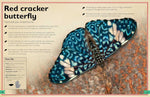 The Magnificent Book of Butterflies and Moths (Magnificent Book of) by Barbara Taylor