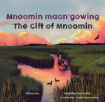 Mnoomin Maan'gowing / The Gift of Mnoomin by Brittany Luby