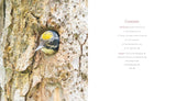 Woodpecker: A Year in the Life of North American Woodpeckers by Paul Bannick