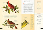 The Little Book of North American Birds: A Guide to North America's Songbirds, Waterfowl, Birds of Prey, and More (Little Library of Natural History #4)